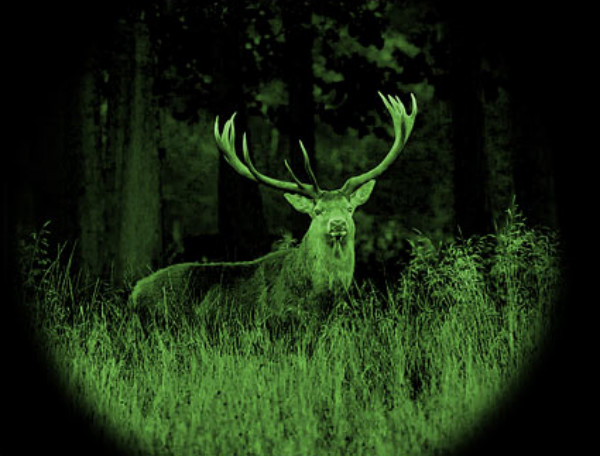 紅外夜視儀，黑夜中明亮的“眼睛”