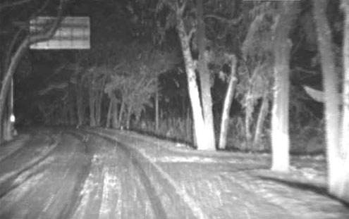 熱像儀的工作原理