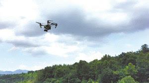 森林火災(zāi)防患于未然