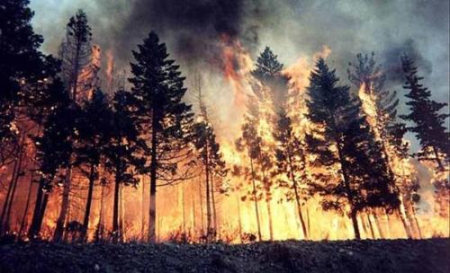森林火災(zāi)防患于未然