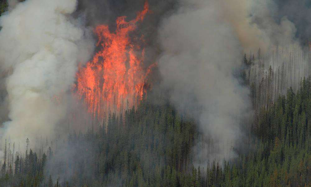 紅外熱像儀在固體廢棄物處理行業(yè)的應(yīng)用