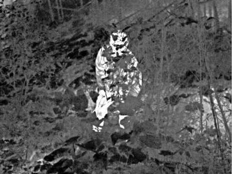 紅外熱成像儀維護野外生態(tài)平衡