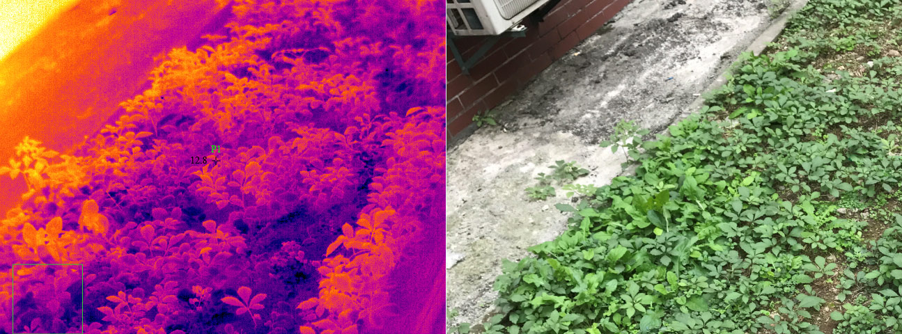 紅外熱成像技術(shù)在植物病害檢測中的應(yīng)用