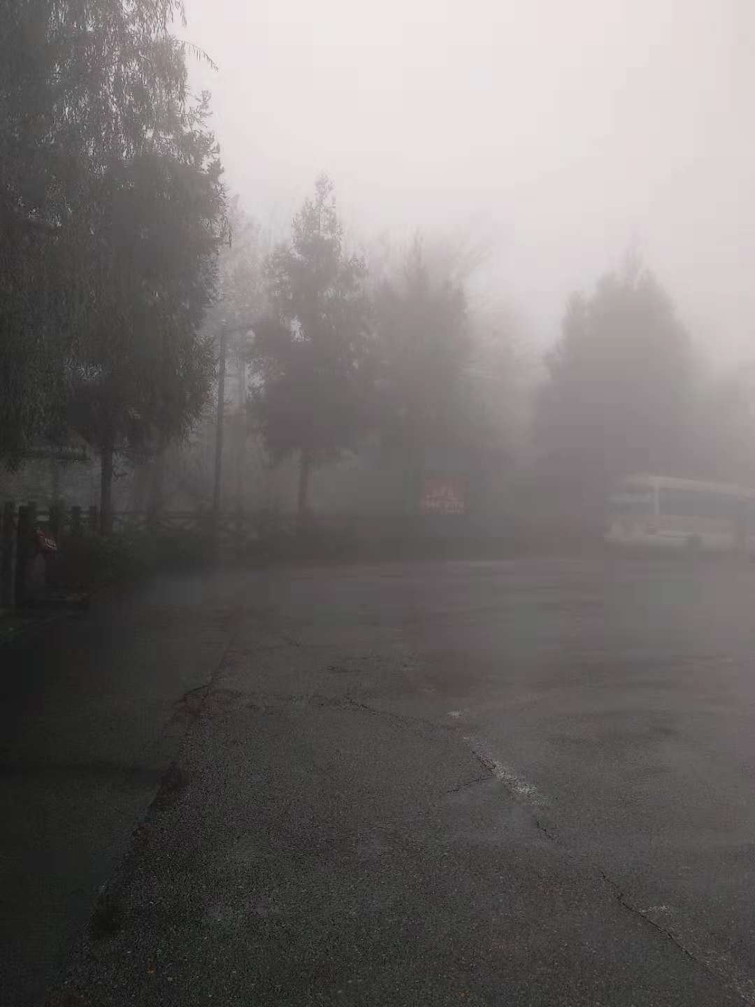 紅外熱像儀，構(gòu)筑平安城市的一匹安防黑馬