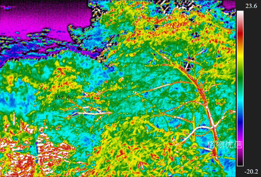 紅外熱像儀用于野生動(dòng)物保護(hù)