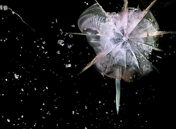 紅外熱像儀用于爆炸監(jiān)控