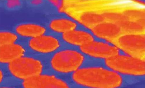 紅外熱像儀助力食品生產(chǎn)