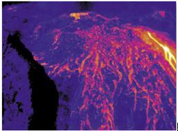 生物質(zhì)能廢料堆紅外熱成像防火監(jiān)控應(yīng)用