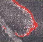 生物質(zhì)能廢料堆紅外熱成像防火監(jiān)控應(yīng)用