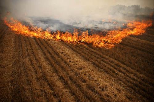 防止秸稈焚燒紅外監(jiān)控系統(tǒng)