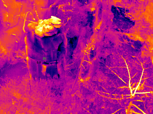 紅外熱像儀在地理勘測(cè)的應(yīng)用