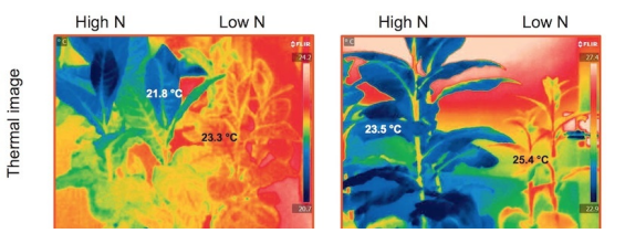 紅外技術(shù)在智慧農(nóng)業(yè)上的應(yīng)用
