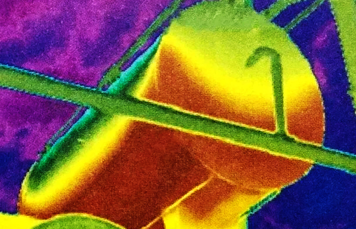 紅外熱像儀如何判斷油枕滿(mǎn)油